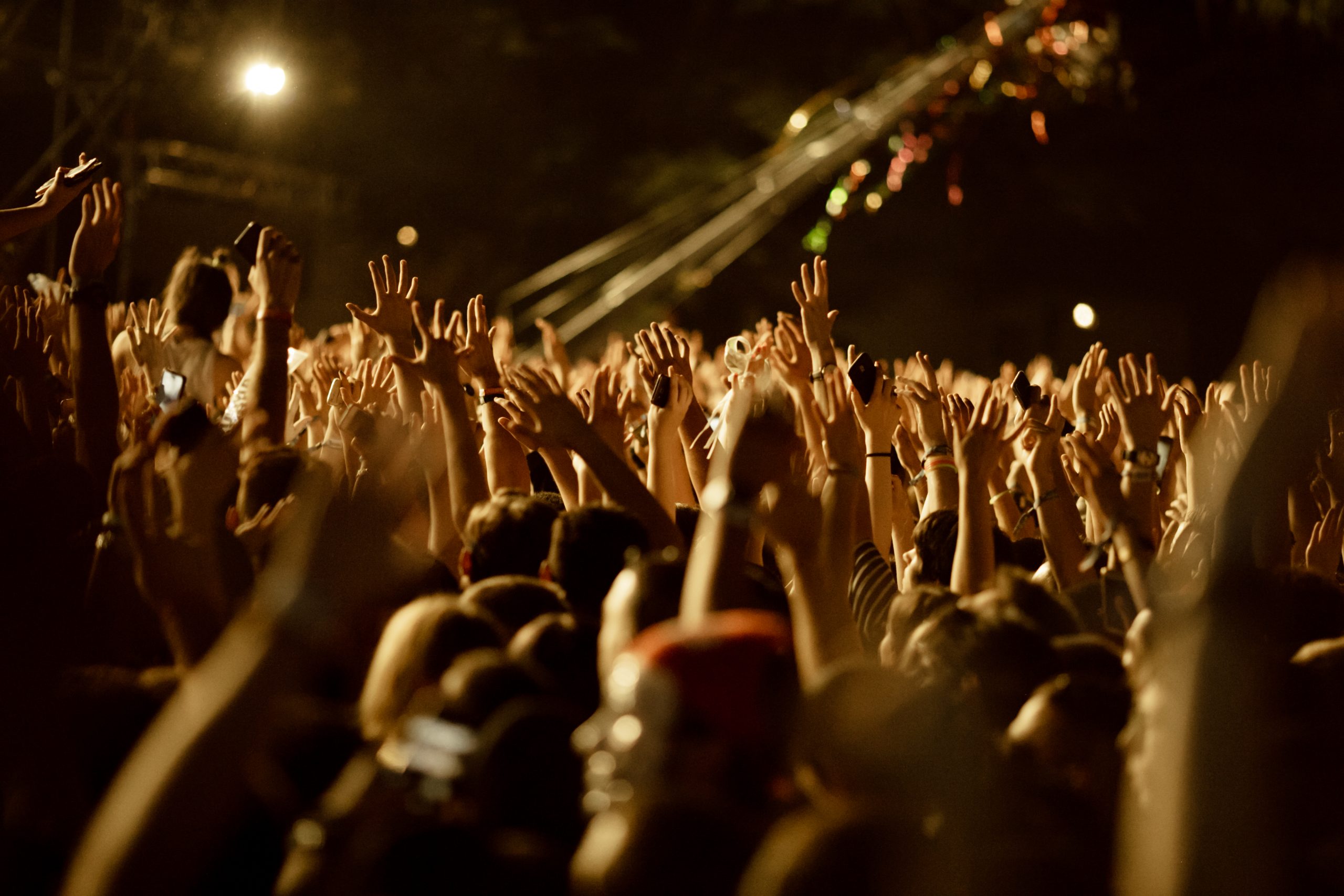 Cheering crowd at music festival.